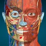 3D 解剖学 - Anatomy Learning v2.1.351-App热